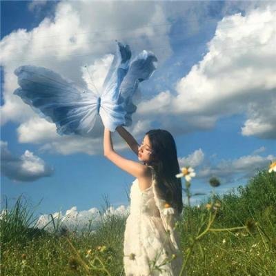 海葵